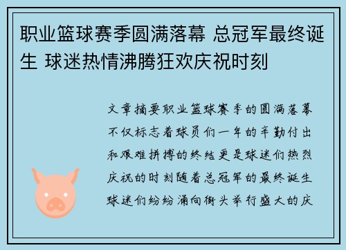 职业篮球赛季圆满落幕 总冠军最终诞生 球迷热情沸腾狂欢庆祝时刻