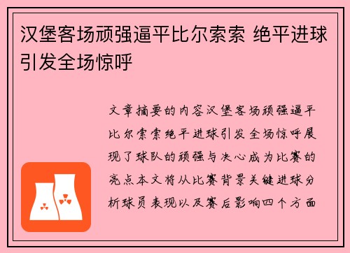 汉堡客场顽强逼平比尔索索 绝平进球引发全场惊呼